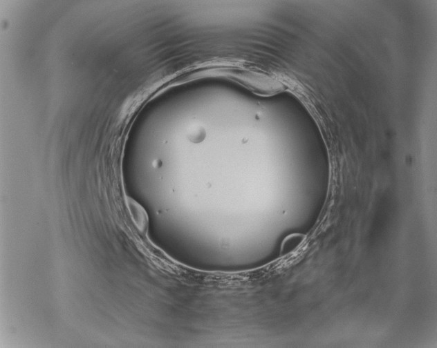 X0000070380337200606121258