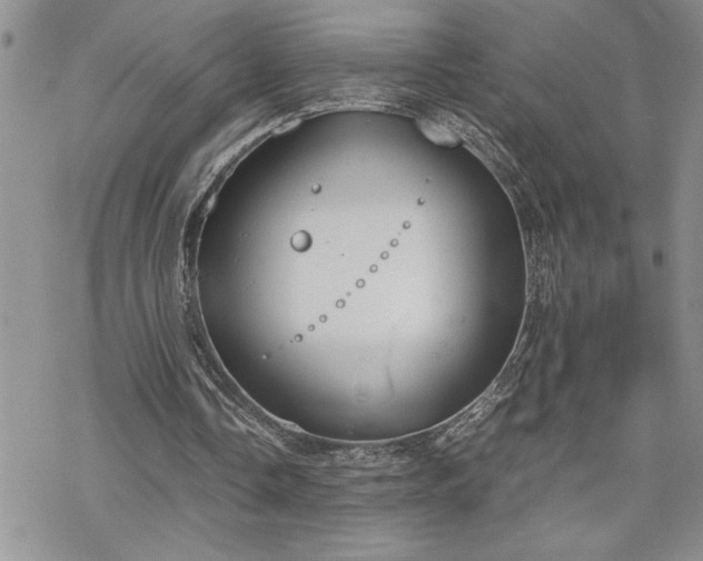 X0000070380338200606121258