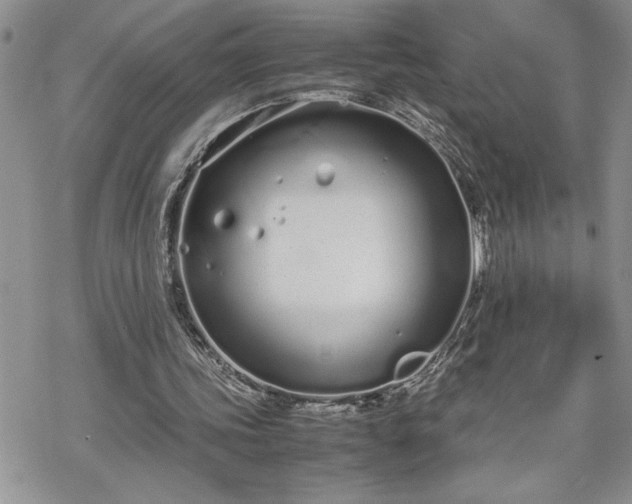 X0000070380339200606121258