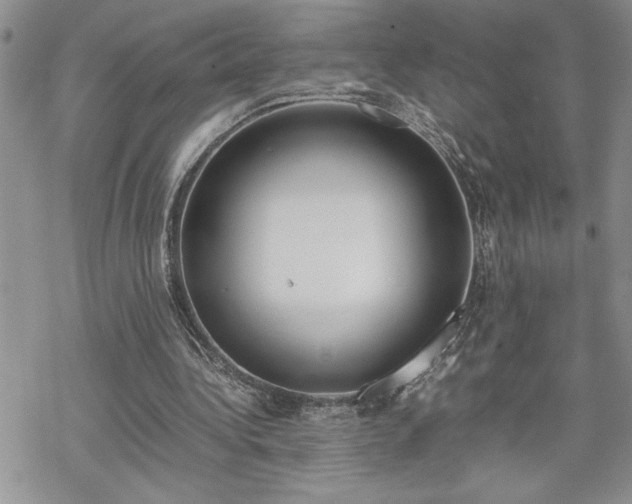 X0000070380340200606121258