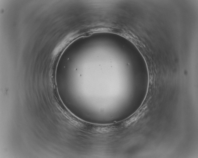 X0000070380341200606121258