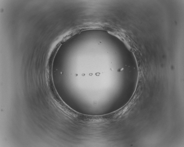 X0000070380342200606121258