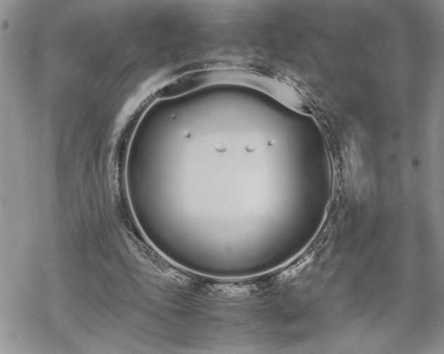 X0000070380343200606121258