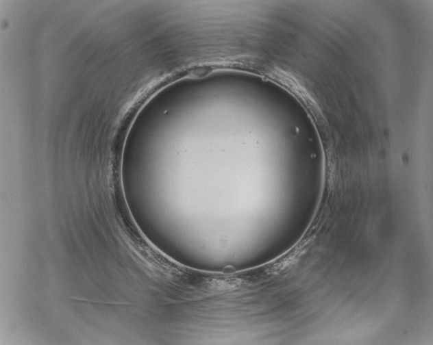 X0000070380346200606121258