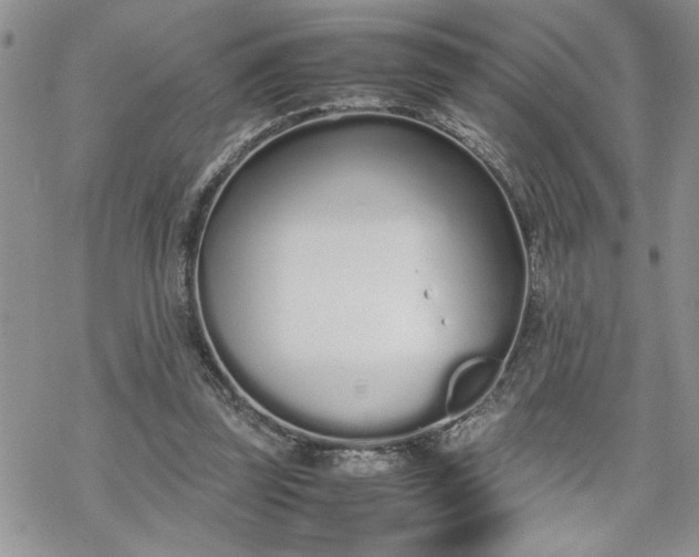 X0000070380347200606121258