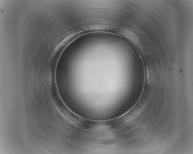 X0000070380348200606121258