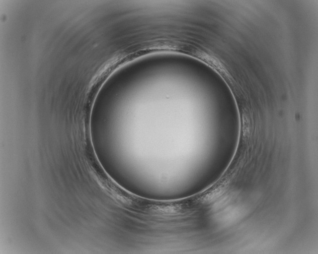 X0000070380349200606121258