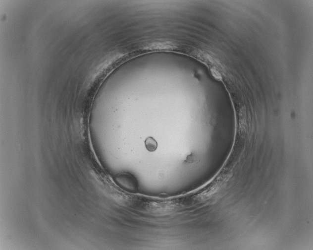 X0000070380351200606121258