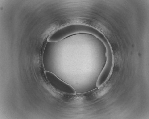 X0000070380352200606121258