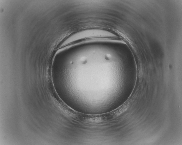 X0000070380353200606121258