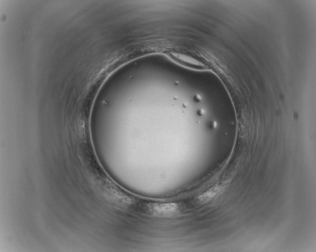 X0000070380355200606121258