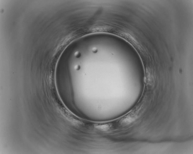 X0000070380357200606121258