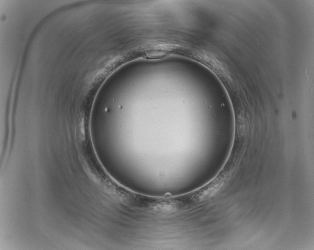 X0000070380358200606121258