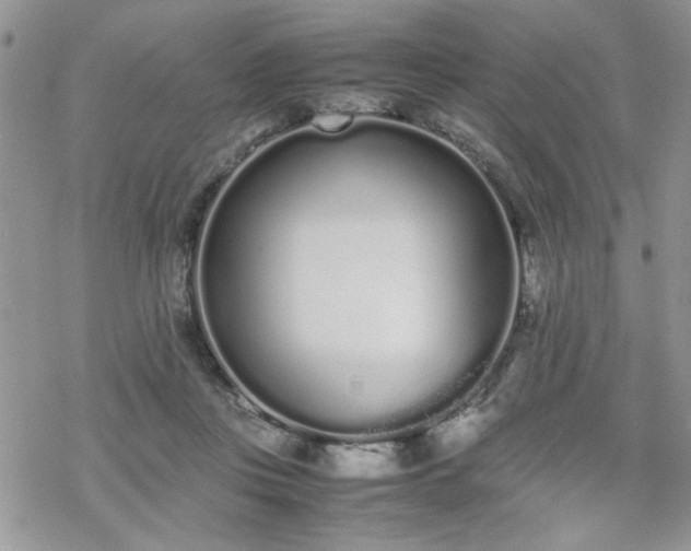 X0000070380359200606121258