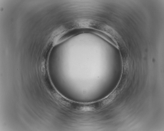 X0000070380360200606121258