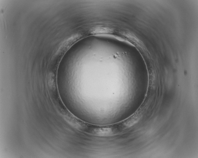 X0000070380361200606121258