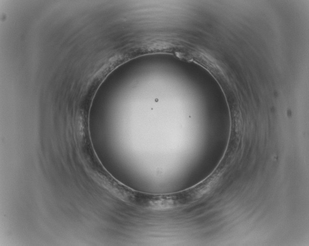 X0000070380362200606121258