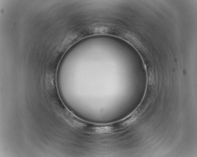 X0000070380363200606121258