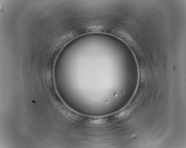 X0000070380365200606121258