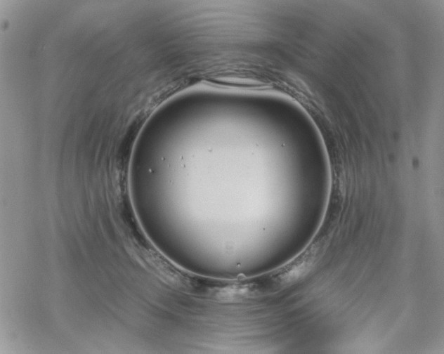 X0000070380366200606121258