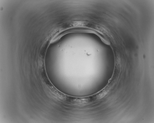 X0000070380367200606121258