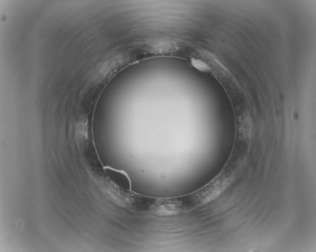 X0000070380368200606121258