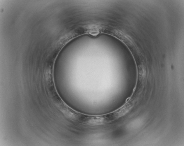 X0000070380369200606121258