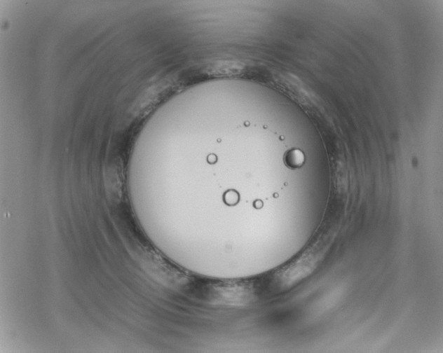 X0000070380370200606121258