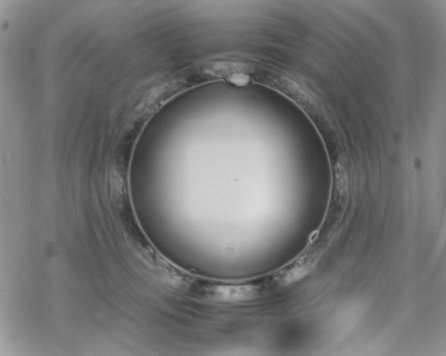 X0000070380371200606121258