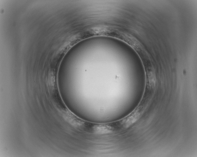 X0000070380372200606121258