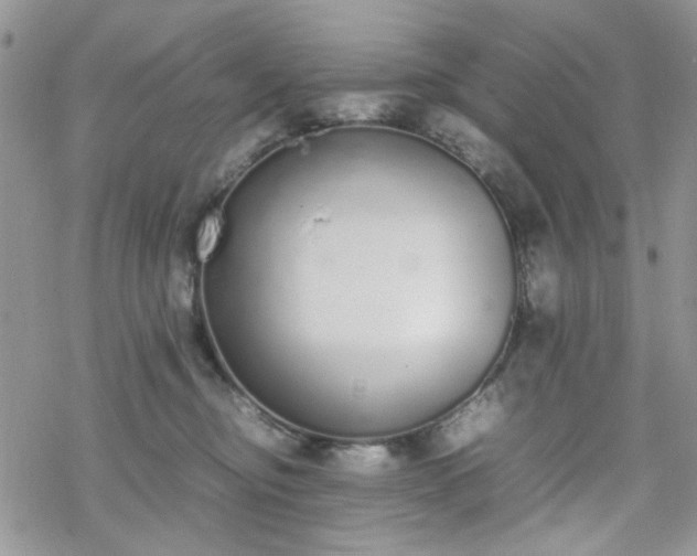 X0000070380374200606121259