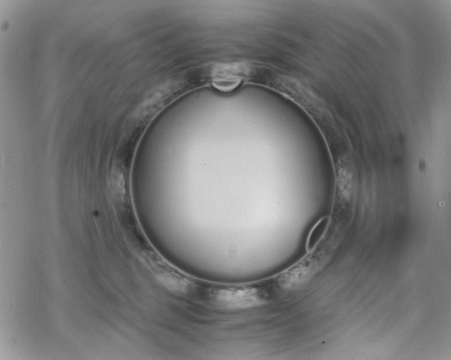 X0000070380375200606121259