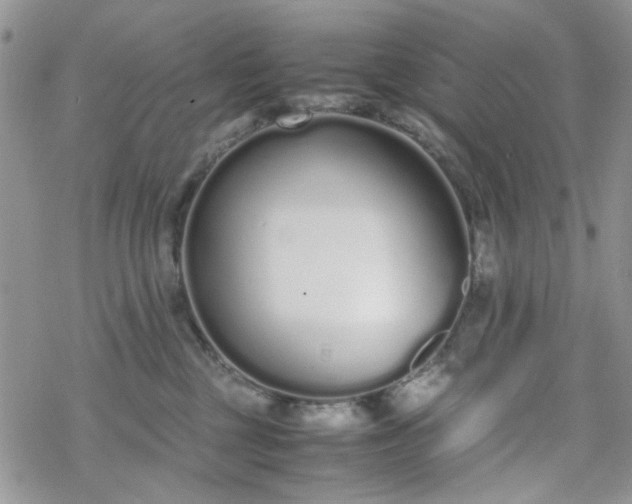 X0000070380377200606121259