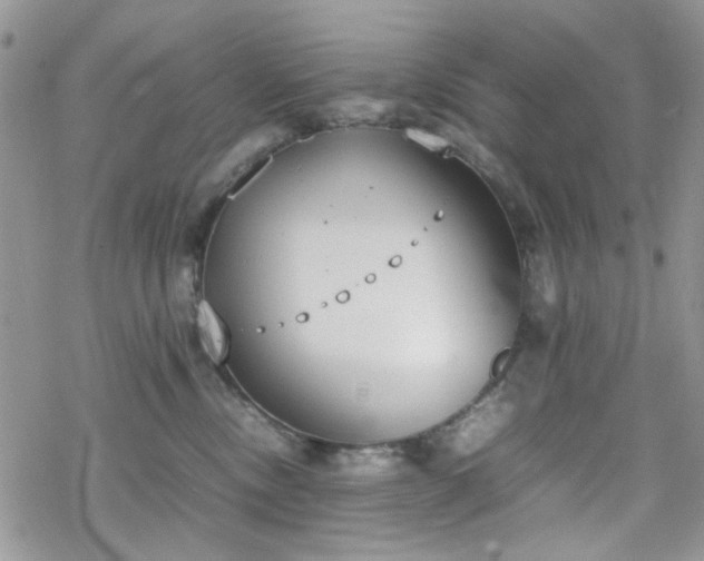 X0000070380378200606121259