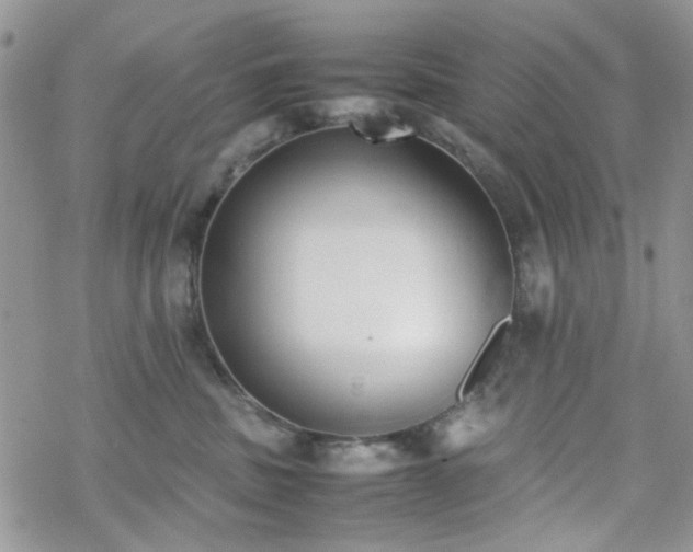 X0000070380379200606121259