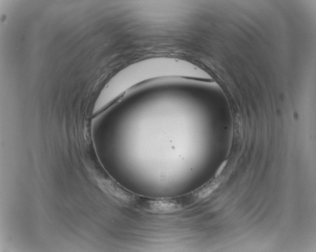 X0000070380380200606121259