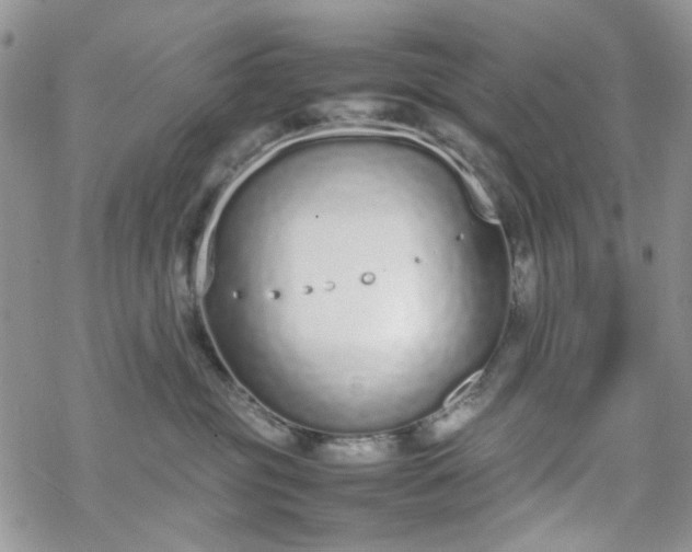 X0000070380381200606121259