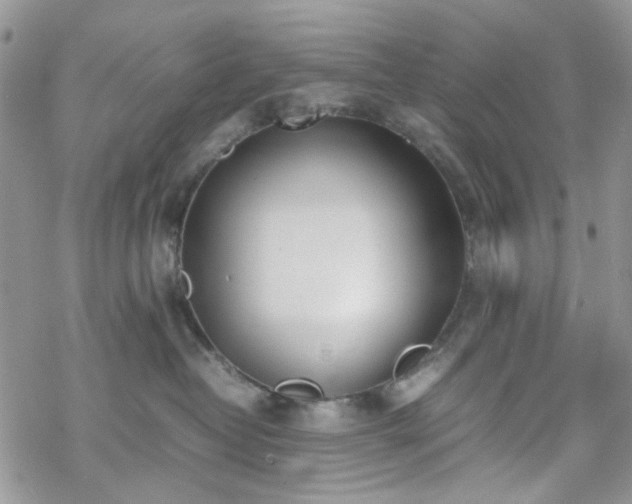 X0000070380382200606121259