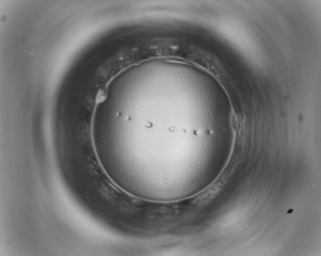 X0000070380383200606121259