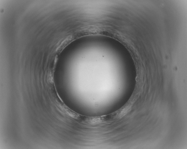 X0000070380384200606121259