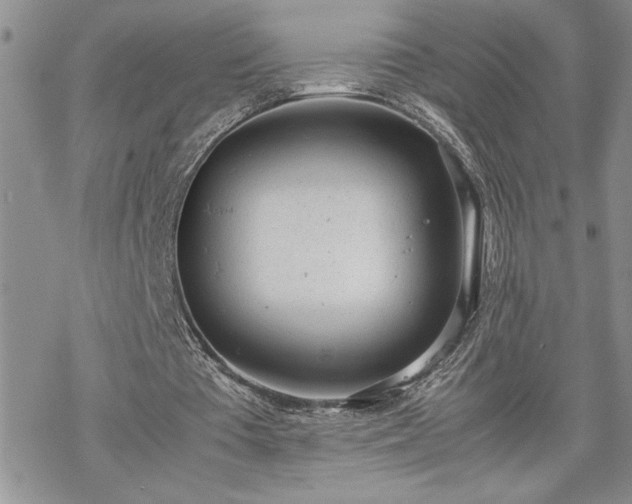 X0000070380385200606121258