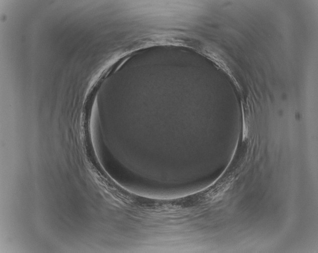 X0000070380387200606121258