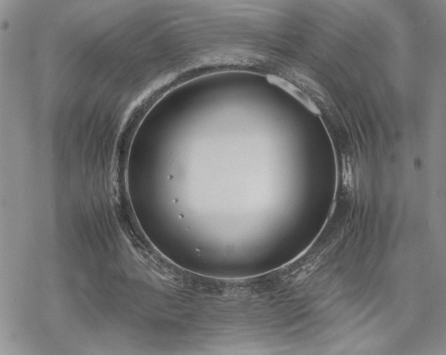 X0000070380388200606121258