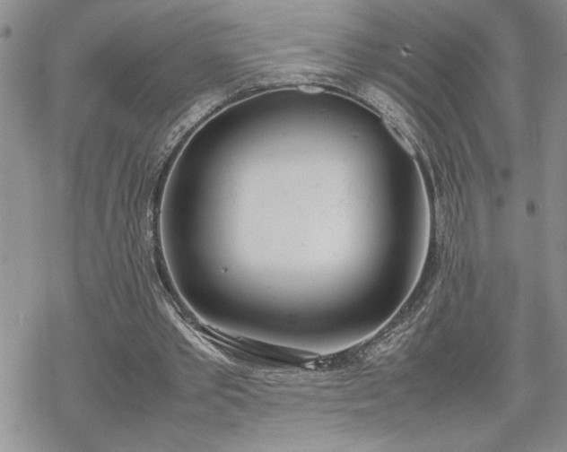 X0000070380389200606121258