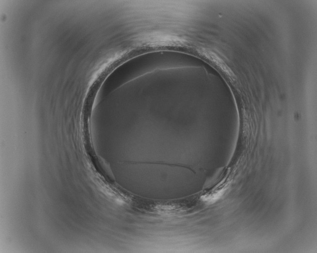 X0000070380391200606121258