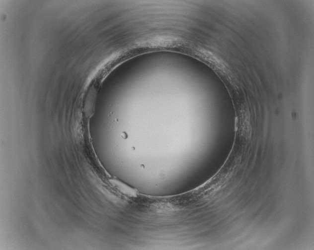 X0000070380392200606121258