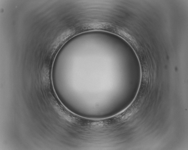 X0000070380394200606121258