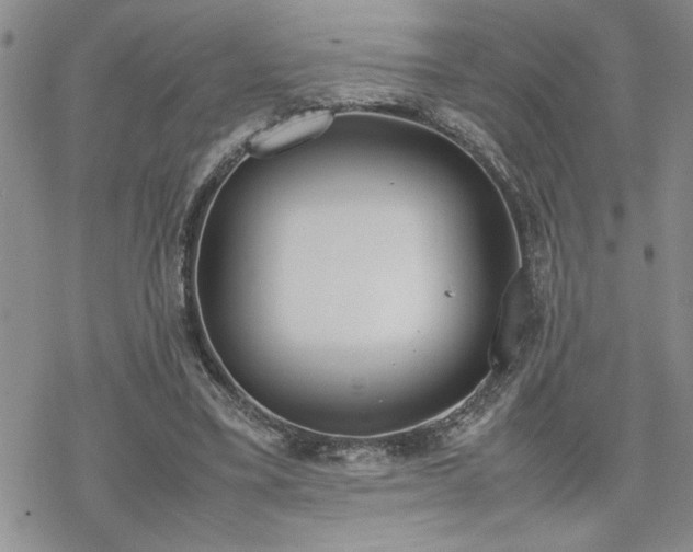 X0000070380395200606121258