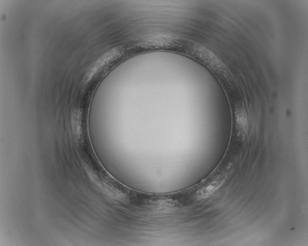 X0000070380396200606121258