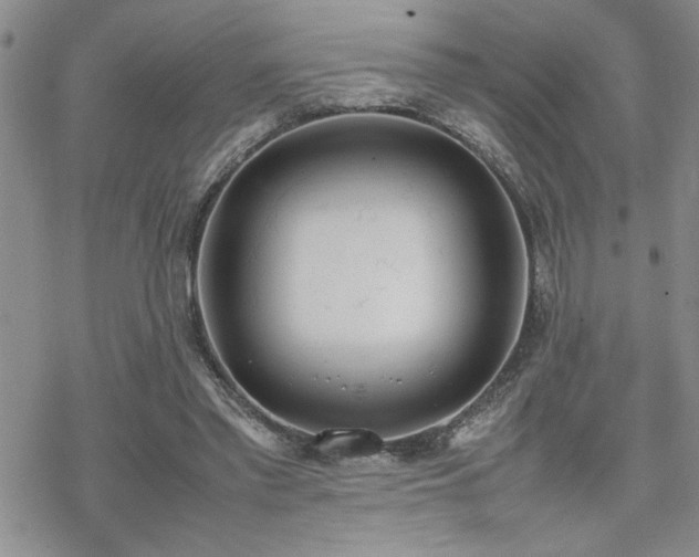 X0000070380397200606121258